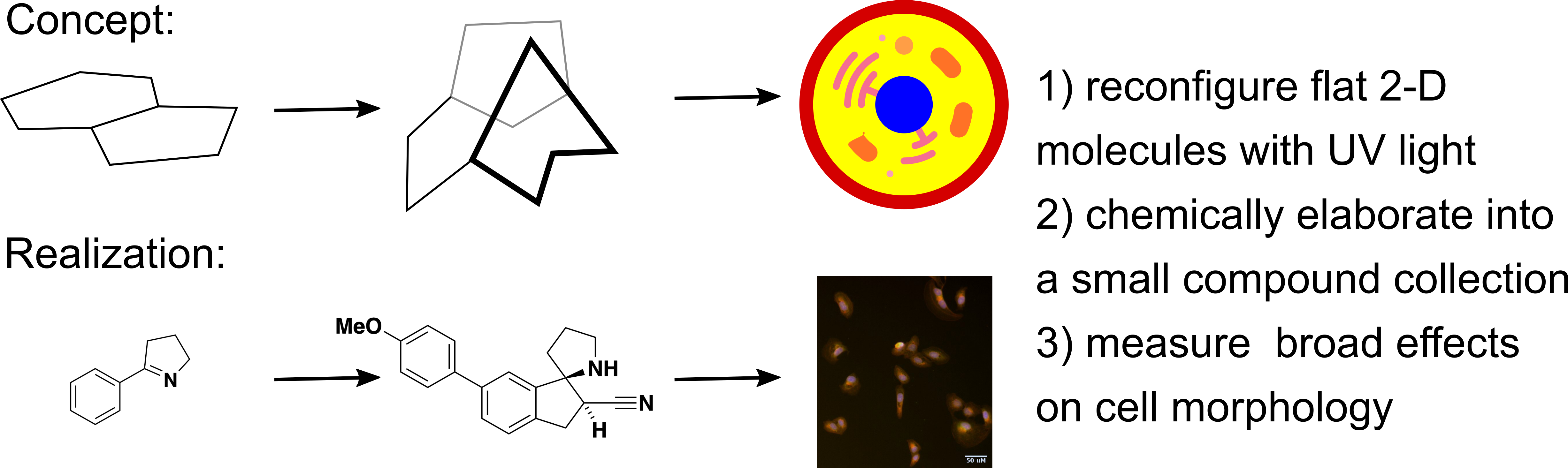 Cell painting and synthesis