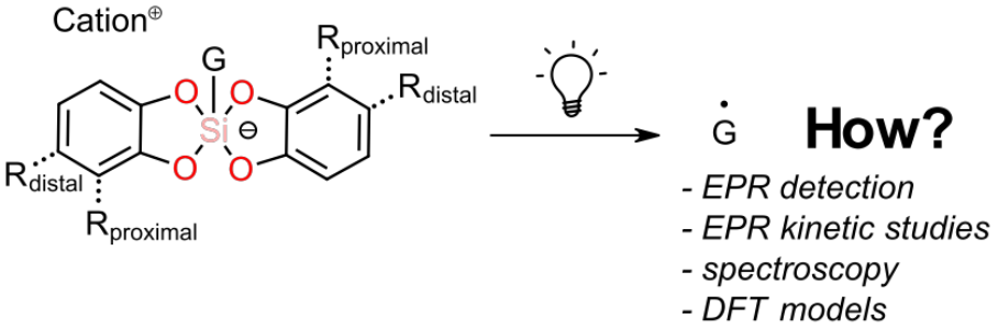 Nitrocatecholato silicates