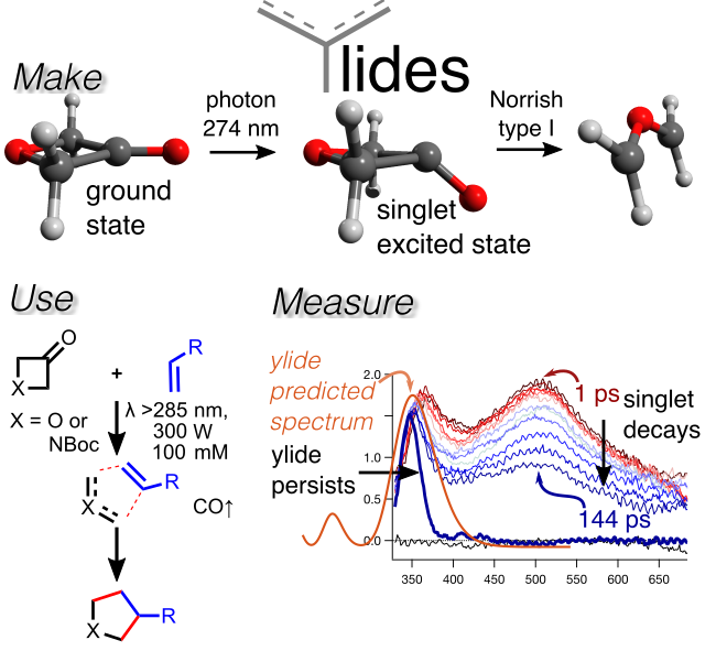 Photogeneration of ylides